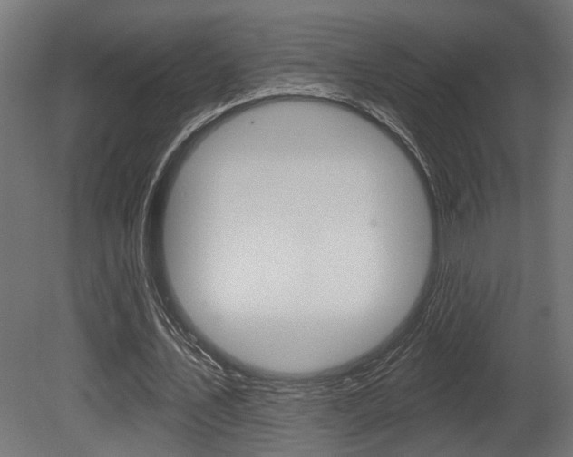 X0000081460579200701121044