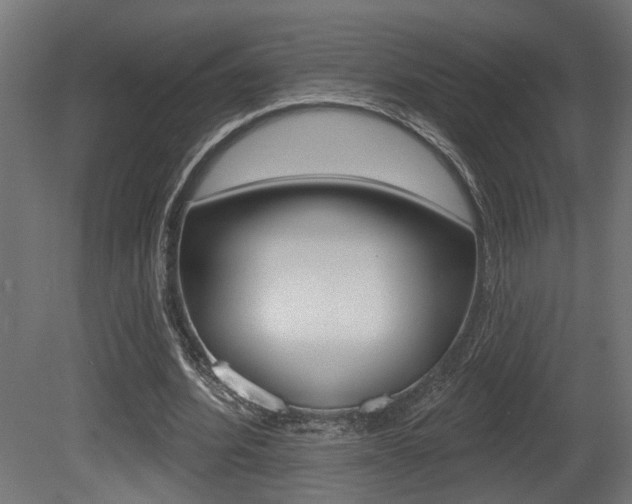 X0000081460580200701121044