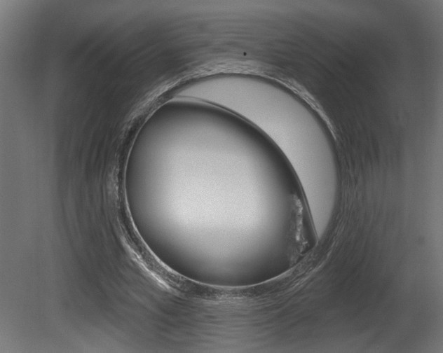 X0000081460581200701121044