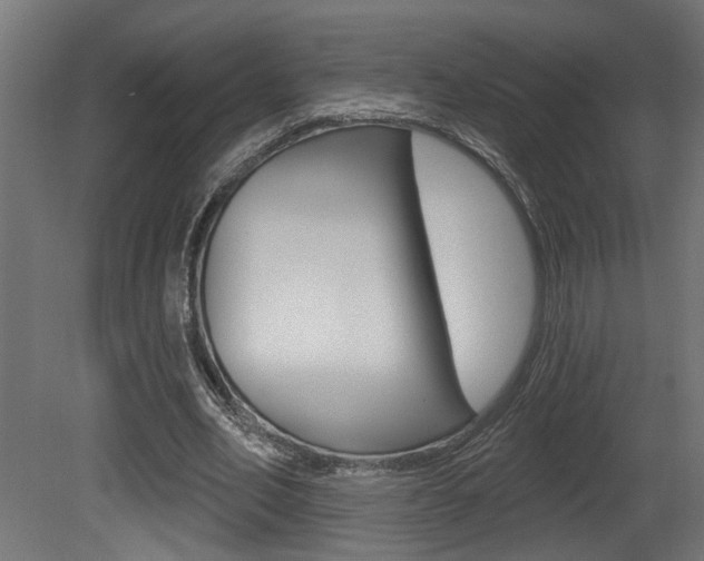 X0000081460582200701121044
