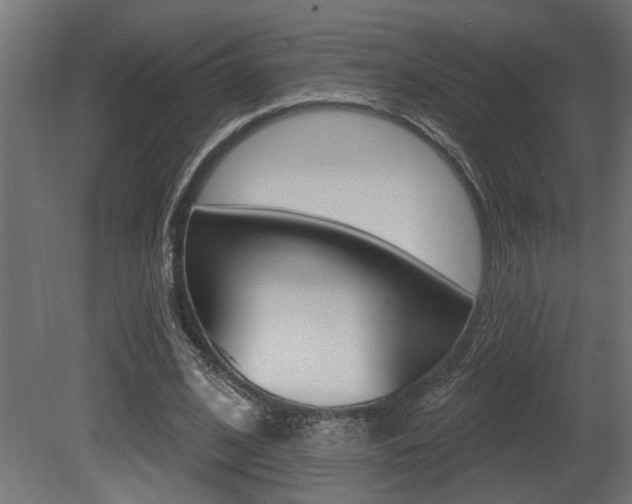 X0000081460584200701121044