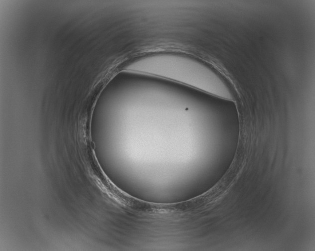 X0000081460585200701121044