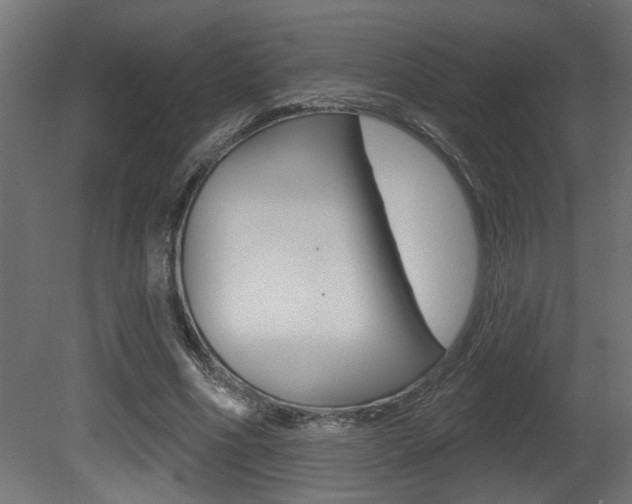 X0000081460586200701121044