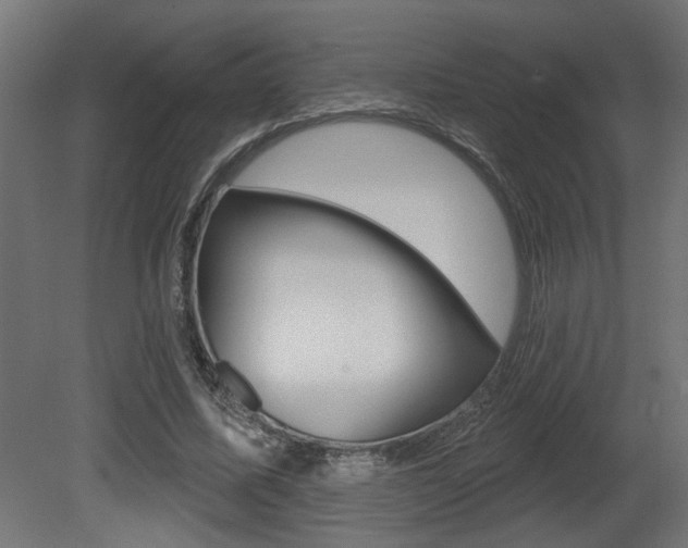 X0000081460587200701121044