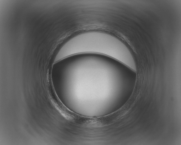 X0000081460589200701121044