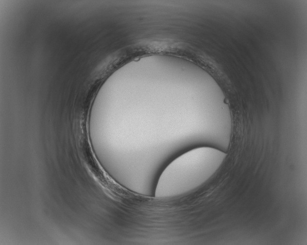 X0000081460590200701121043