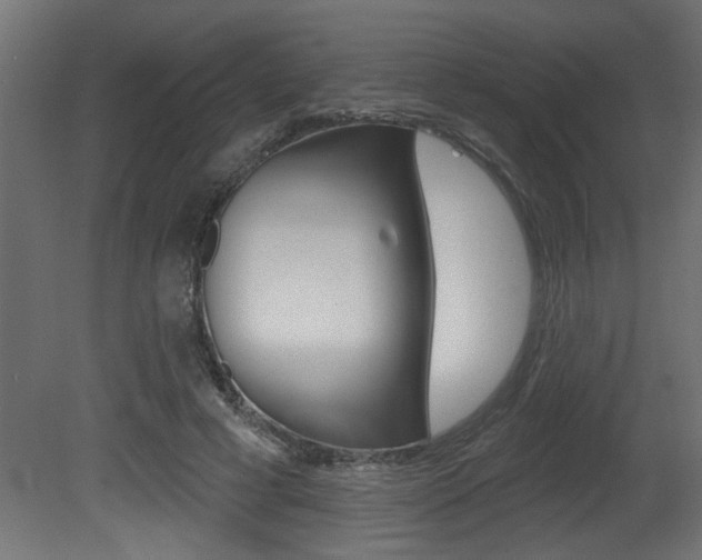X0000081460593200701121043