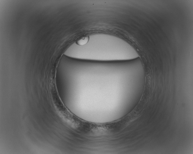 X0000081460594200701121043