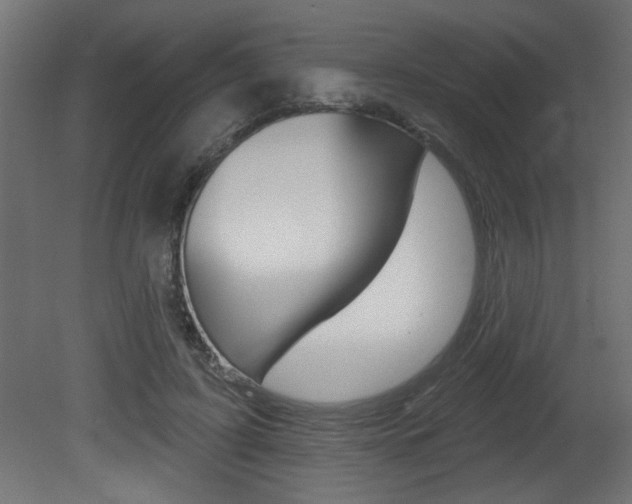 X0000081460595200701121043