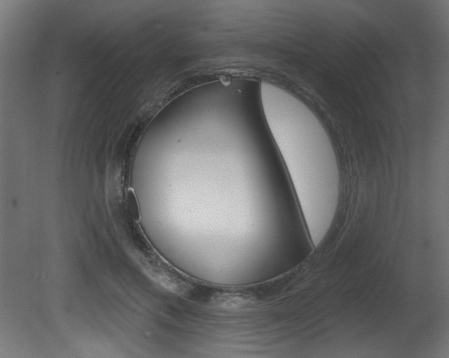 X0000081460597200701121043