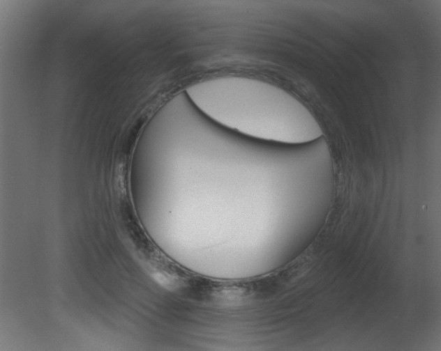 X0000081460598200701121043