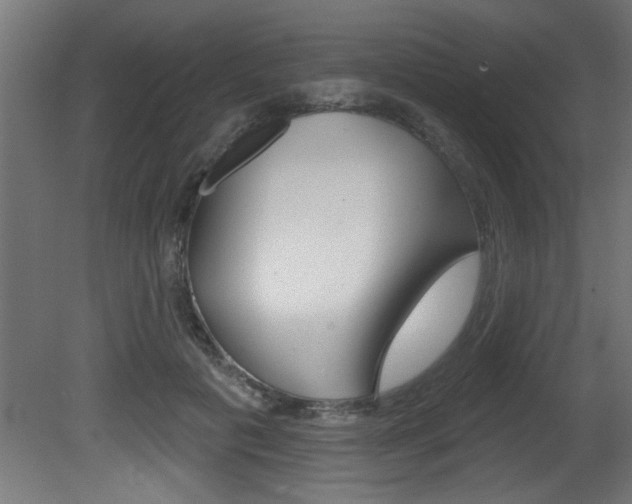 X0000081460601200701121043