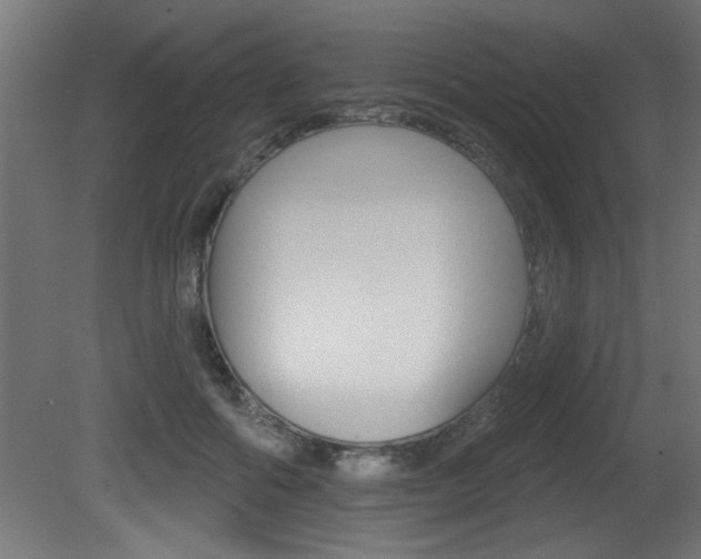 X0000081460602200701121043