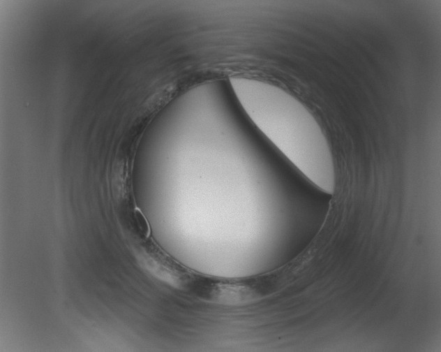 X0000081460605200701121043