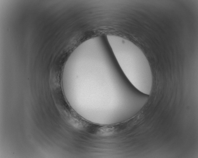 X0000081460606200701121043