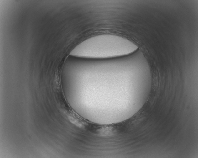 X0000081460609200701121043