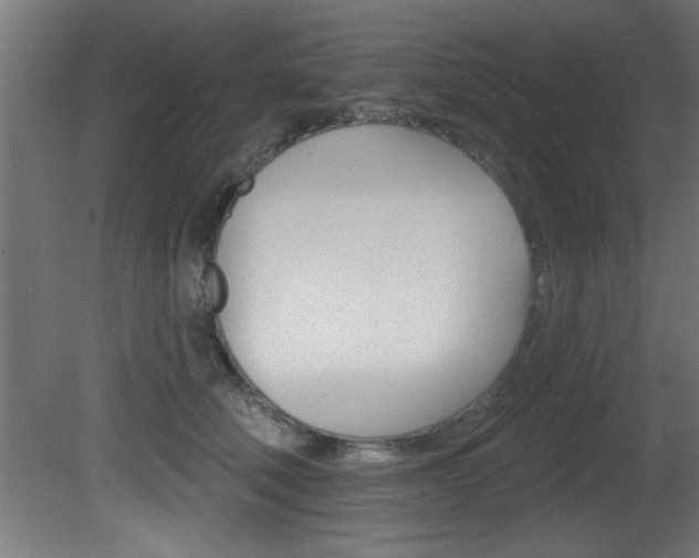 X0000081460610200701121043