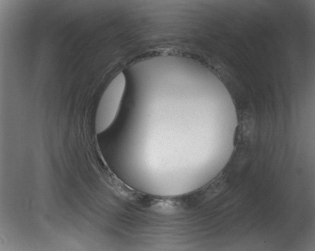X0000081460611200701121043