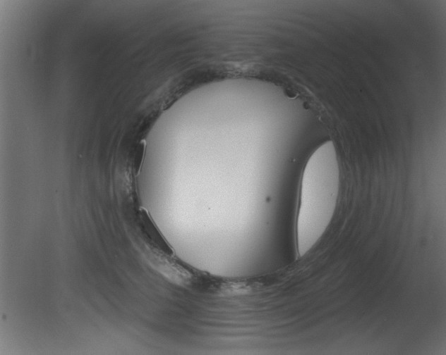 X0000081460613200701121043
