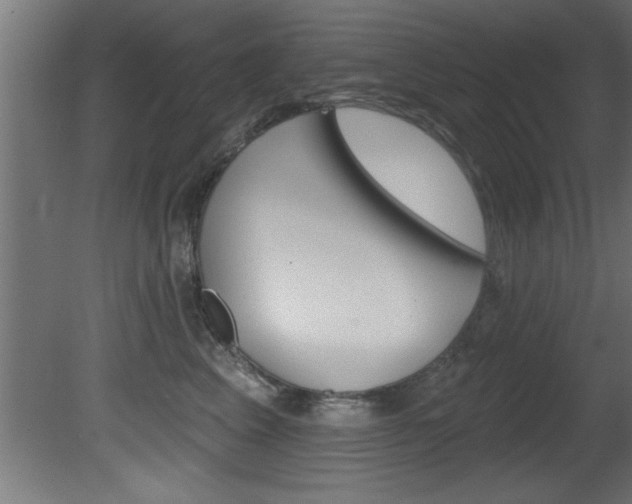 X0000081460617200701121043