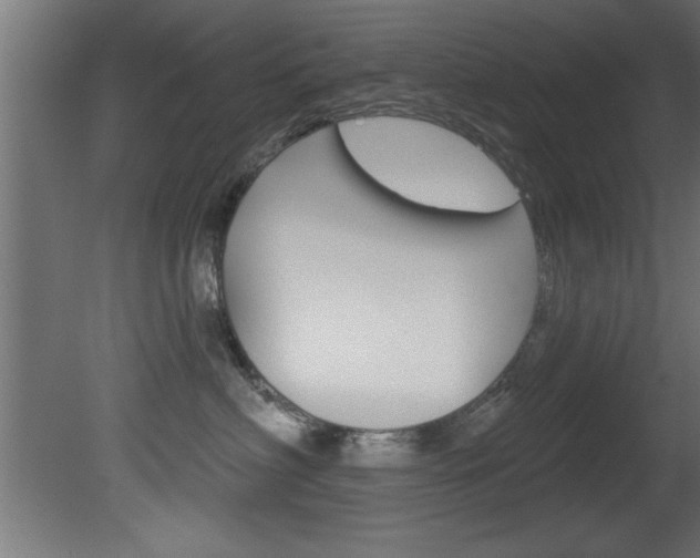 X0000081460622200701121043