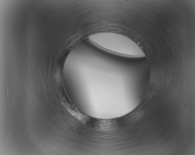 X0000081460623200701121043