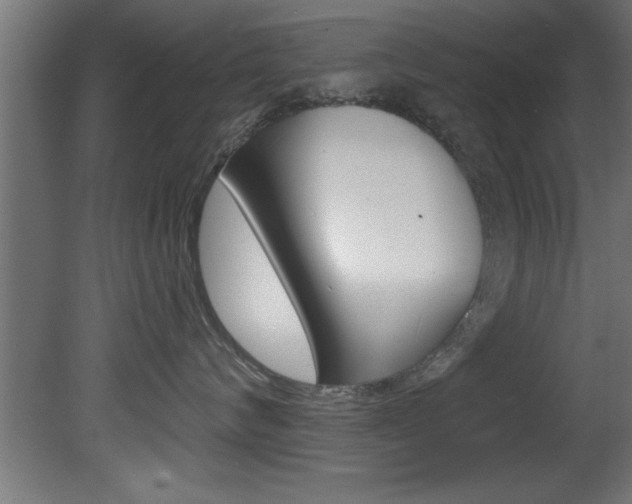 X0000081460624200701121043