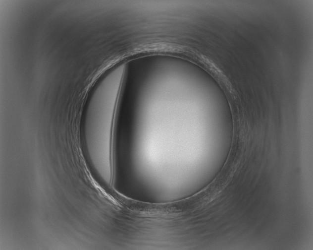 X0000081460625200701121042