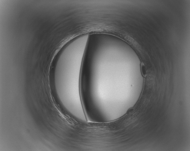 X0000081460626200701121042
