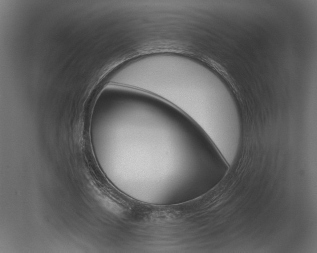 X0000081460627200701121042
