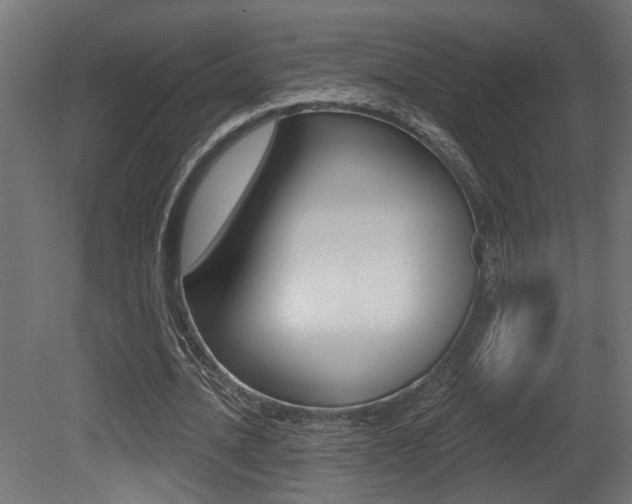 X0000081460628200701121042