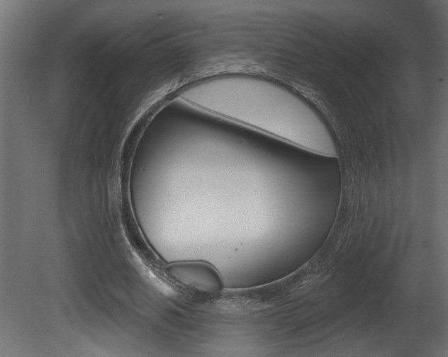X0000081460630200701121042