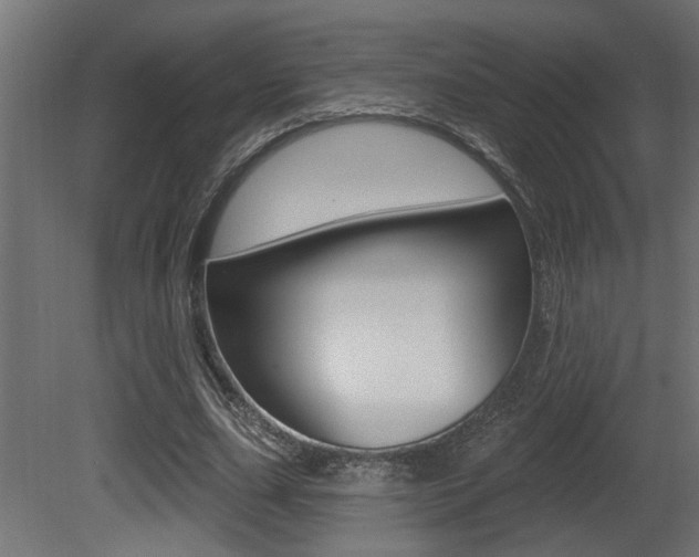 X0000081460631200701121042