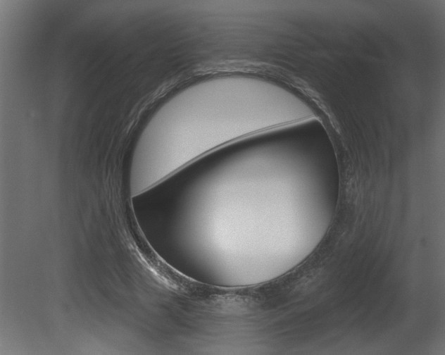 X0000081460633200701121042
