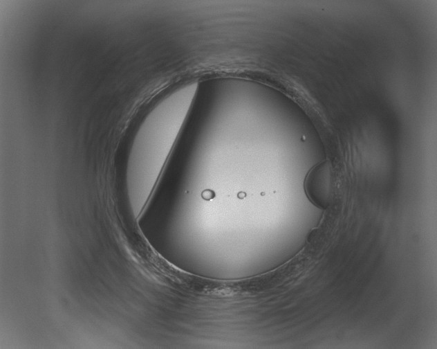 X0000081460635200701121042