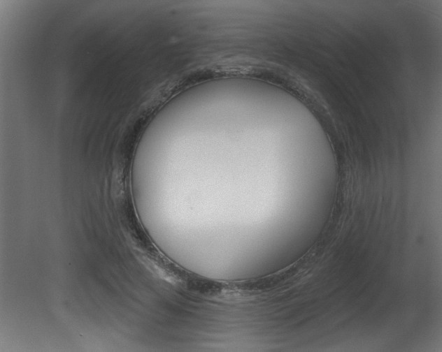 X0000081460641200701121042