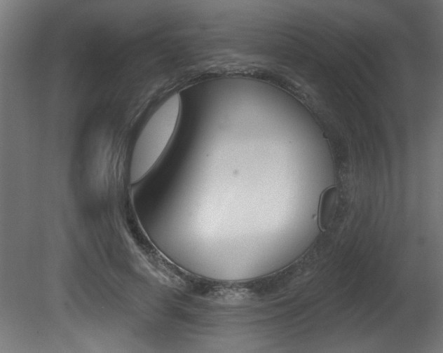 X0000081460642200701121042