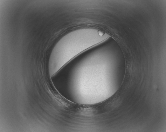 X0000081460645200701121042