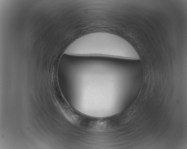 X0000081460647200701121042
