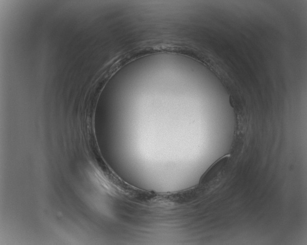 X0000081460648200701121042