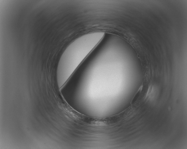 X0000081460649200701121042