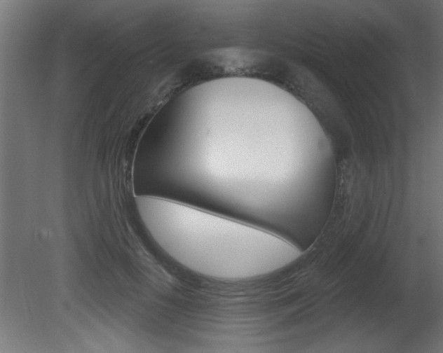 X0000081460650200701121043