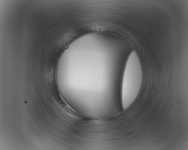X0000081460652200701121043
