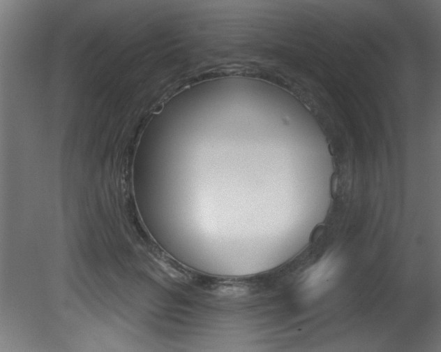 X0000081460653200701121043