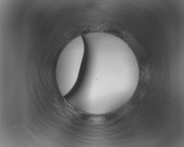 X0000081460659200701121043