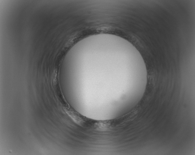 X0000081460660200701121043