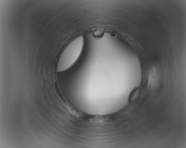 X0000081460661200701121043