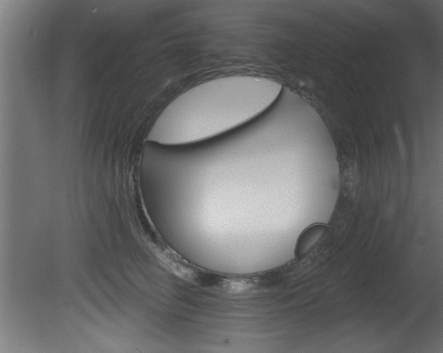 X0000081460662200701121043