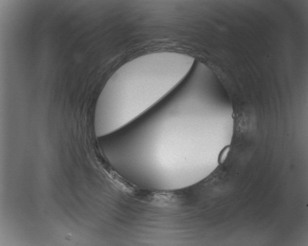 X0000081460666200701121043