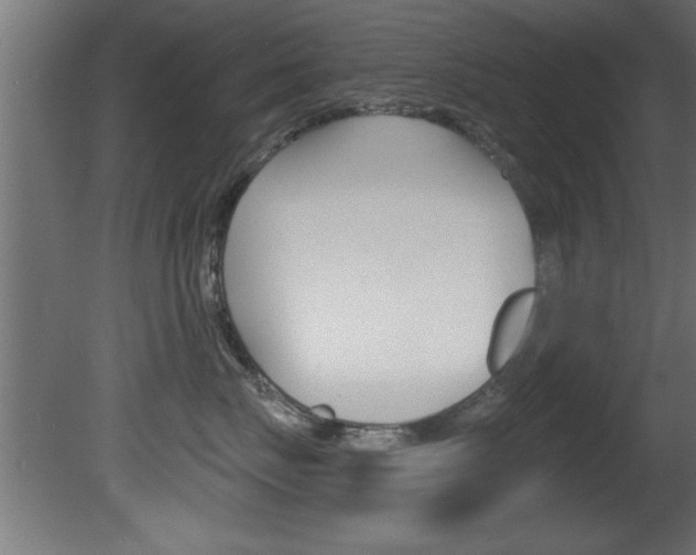 X0000081460671200701121043